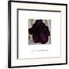 Purple Petunia, 1925-Georgia O'Keeffe-Framed Art Print