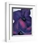 Purple Petunias, 1925-Georgia O'Keeffe-Framed Art Print