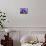 Purple petunias-Merrill Images-Photographic Print displayed on a wall