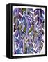 Purple Philodendron-Cat Coquillette-Framed Stretched Canvas