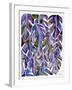 Purple Philodendron-Cat Coquillette-Framed Art Print