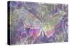 Purple Pink Butterfly Watercolor-Cora Niele-Stretched Canvas
