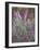 Purple Plumes II-Sonja Quintero-Framed Photographic Print