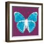 Purple Pop Butterfly-Christine Caldwell-Framed Art Print