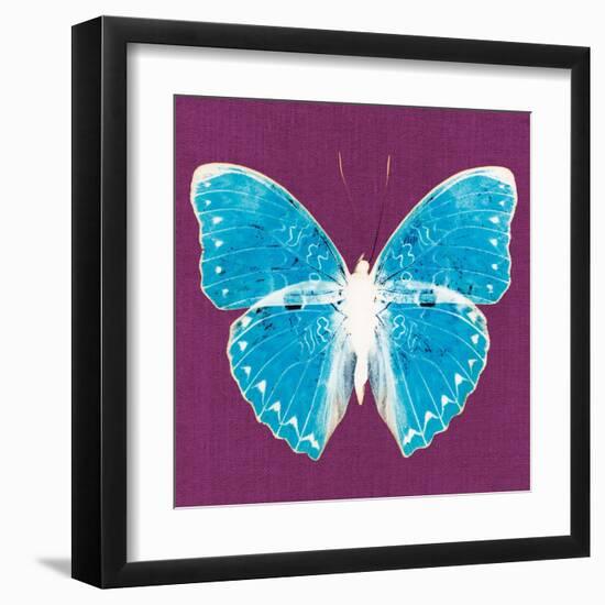 Purple Pop Butterfly-Christine Caldwell-Framed Art Print