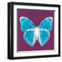 Purple Pop Butterfly-Christine Caldwell-Framed Art Print