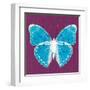 Purple Pop Butterfly-Christine Caldwell-Framed Art Print