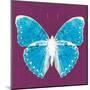 Purple Pop Butterfly-Christine Caldwell-Mounted Art Print