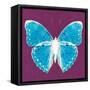 Purple Pop Butterfly-Christine Caldwell-Framed Stretched Canvas