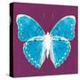 Purple Pop Butterfly-Christine Caldwell-Stretched Canvas