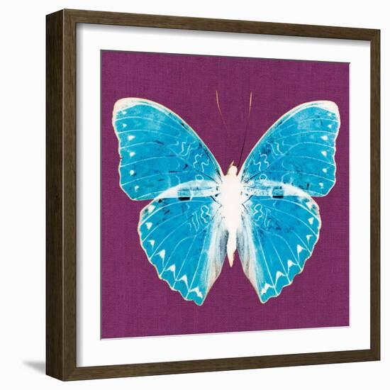 Purple Pop Butterfly-Christine Caldwell-Framed Art Print