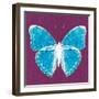 Purple Pop Butterfly-Christine Caldwell-Framed Art Print