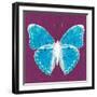 Purple Pop Butterfly-Christine Caldwell-Framed Art Print