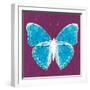 Purple Pop Butterfly-Christine Caldwell-Framed Art Print