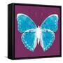 Purple Pop Butterfly-Christine Caldwell-Framed Stretched Canvas