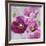 Purple Poppies I-li bo-Framed Giclee Print