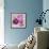 Purple Poppies I-li bo-Framed Giclee Print displayed on a wall