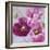 Purple Poppies I-li bo-Framed Giclee Print