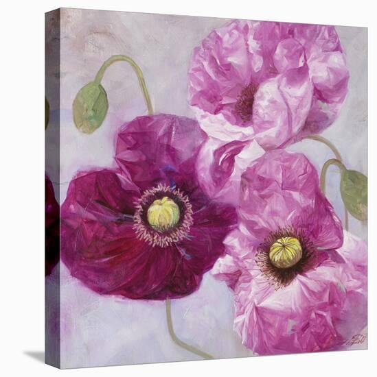 Purple Poppies I-li bo-Stretched Canvas