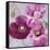 Purple Poppies I-li bo-Framed Stretched Canvas