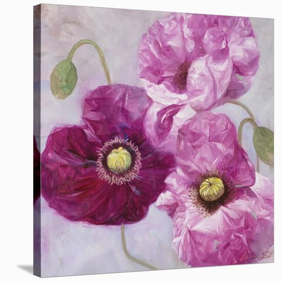 Purple Poppies I-li bo-Stretched Canvas