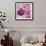 Purple Poppies I-li bo-Framed Giclee Print displayed on a wall