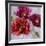 Purple Poppies II-li bo-Framed Giclee Print