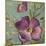 Purple Poppies II-Lanie Loreth-Mounted Art Print
