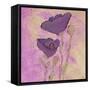 Purple Poppies-Bee Sturgis-Framed Stretched Canvas