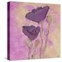 Purple Poppies-Bee Sturgis-Stretched Canvas