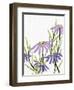 Purple Power 2-Ann Bailey-Framed Art Print