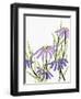 Purple Power 2-Ann Bailey-Framed Art Print