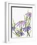 Purple Power 2-Ann Bailey-Framed Art Print