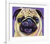 Purple Pug-Kathryn Wronski-Framed Art Print