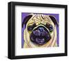 Purple Pug-Kathryn Wronski-Framed Art Print