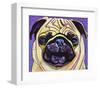 Purple Pug-Kathryn Wronski-Framed Art Print