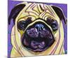 Purple Pug-Kathryn Wronski-Mounted Art Print