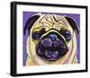 Purple Pug-Kathryn Wronski-Framed Art Print