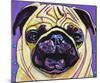 Purple Pug-Kathryn Wronski-Mounted Art Print