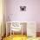 Purple Pug-Kathryn Wronski-Stretched Canvas displayed on a wall