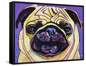 Purple Pug-Kathryn Wronski-Framed Stretched Canvas