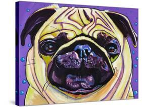 Purple Pug-Kathryn Wronski-Stretched Canvas