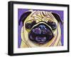 Purple Pug-Kathryn Wronski-Framed Art Print