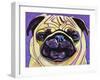 Purple Pug-Kathryn Wronski-Framed Art Print