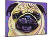 Purple Pug-Kathryn Wronski-Mounted Art Print