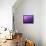 Purple Rain-Philippe Sainte-Laudy-Framed Stretched Canvas displayed on a wall