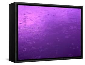 Purple Rain-Philippe Sainte-Laudy-Framed Stretched Canvas