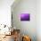 Purple Rain-Philippe Sainte-Laudy-Stretched Canvas displayed on a wall