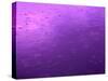 Purple Rain-Philippe Sainte-Laudy-Stretched Canvas