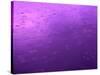 Purple Rain-Philippe Sainte-Laudy-Stretched Canvas